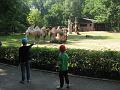 Zoo Cottbus 008